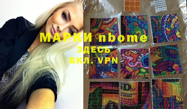 гашик Елабуга