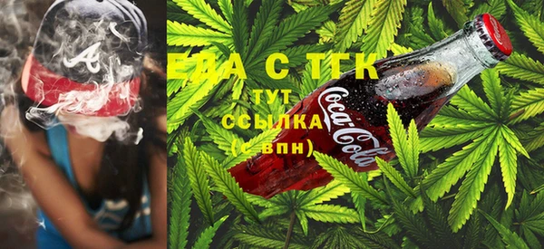 сатива Дмитриев