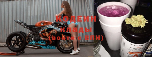 молекула духа Гусев